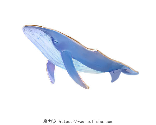 蓝色手绘卡通蓝鲸鲸鱼海洋生物元素PNG素材